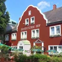 Hotel Bayerischer Hof,位于瓦尔德萨森的酒店