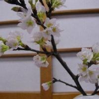 Wakaba Ryokan / Vacation STAY 29366，位于酒田市的酒店