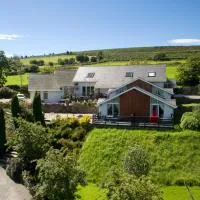 Wicklow Way Lodge，位于威克洛的酒店