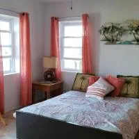 Pauls Oceanview with Amazing Sunsets，位于Hog Bay的酒店