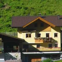 Ferienwohnung Viehhauser，位于Hüttschlag的酒店
