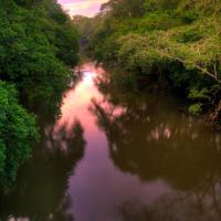 La Selva Biological Station，位于萨拉皮基的酒店