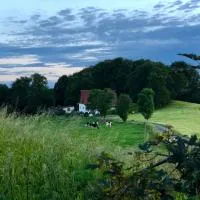 4-Zimmer Apartment auf Resthof,位于Halver的酒店