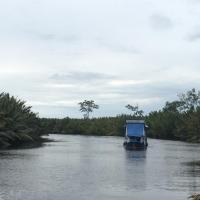 Orangutan Shaka Houseboat with cabin，位于庞卡兰布翁庞卡兰布翁机场 - PKN附近的酒店