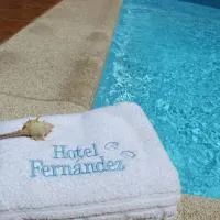 Hotel Fernandez，位于桑亨霍的酒店