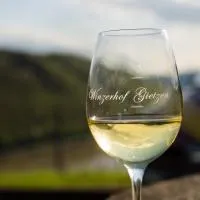 Winzerhof Gietzen，位于Hatzenport的酒店