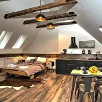 Křišťanka - kouzelné apartmány，位于普拉哈季采的酒店