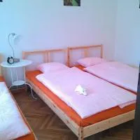 UBYTOVÁNÍ SVOJANOV，位于Svojanov的酒店