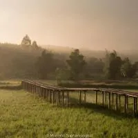 Phuruarounmai Organic Living Resort，位于黎府的酒店