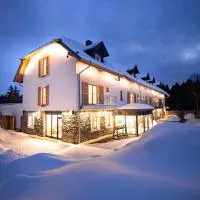 Hotel Tannenhaus，位于舍内克的酒店