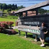 Résidence SoAnSa du Gérardmer - Col de la Schlucht，位于Soultzeren的酒店