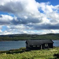 Kjøniksbu - 3 bedroom cabin，位于奥尔的酒店