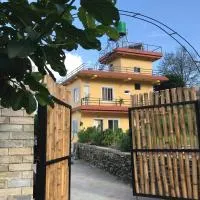 Mone's Mountain View Hotel，位于Kāskī的酒店