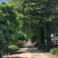 Oak Lane Guest House & Farm Stay，位于Whorouly的酒店