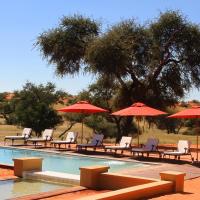 Zebra Kalahari Lodge，位于Hoachanas的酒店