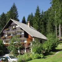 Accommodation Destina, LAKE BOHINJ，位于博希尼Ribcev Laz的酒店
