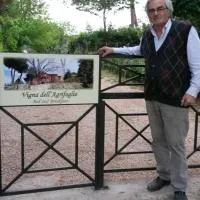 Vigna dell'Agrifoglio Home Residence di Eugenio Azzolini，位于韦莱特里的酒店