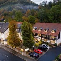 Hotel-Gasthof Hüttensteinach，位于索内贝格的酒店