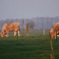 B&B Bij Bronckhorst，位于Steenderen的酒店