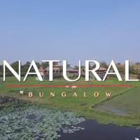 Natural bungalows，位于磅湛的酒店