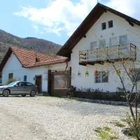 Casa Veverita,位于普雷德鲁特的酒店