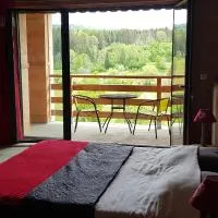 Le Jura en toutes saisons Piscine, SPA, location VTT, balades 2cv, climatisation,位于Bonlieu的酒店