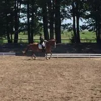 Sassi Talu Horsefarm，位于派尔努县的酒店