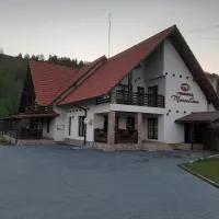 玛雀卢卡旅馆,位于Hodoşa的酒店