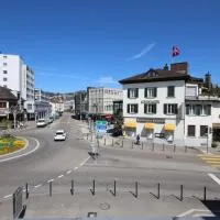 Hotel Schwanen Wil,位于维尔的酒店