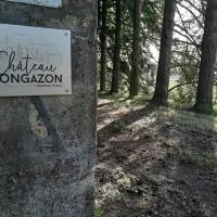 Château de Mongazon,位于Saint-Franchy的酒店