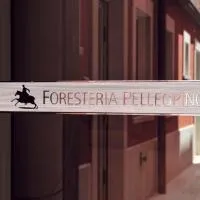 Foresteria Pellegrino,位于安德里亚的酒店