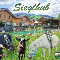 Sieglhub Chalets - Appartements - Hotel