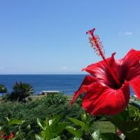 Sogno sul mare，位于斯廷蒂诺的酒店