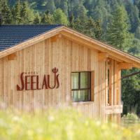 Hotel Seelaus，位于阿尔卑斯休斯山的酒店