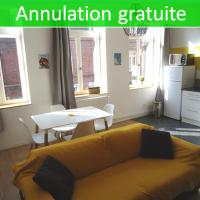 Appartement Lille/1ch/stationnement gratuit，位于里尔Fives的酒店