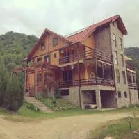 Cabana Soarelui Retezat，位于Nucşoara的酒店