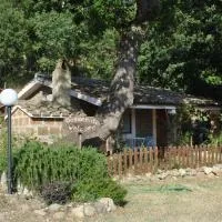 Azienda Agricola Biologica La Cardellina，位于托尔法的酒店