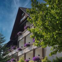 Landhotel Henkenhof Willingen，位于维林根Usseln的酒店