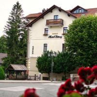 Hotel Bitoraj Fužine，位于弗济内的酒店
