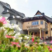 斯科恩奥西赫特酒店，位于施泰纳赫的酒店