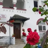 Vila Ana Lăcrămioara Concept，位于Căciulata的酒店