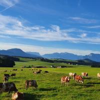 Idyllische Designer-Apartments am Bio-Bauernhof in SalzburgerSeenland Schmiding 10，位于塞基兴的酒店