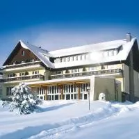 Hotel Haus am Ahorn，位于舍内克的酒店