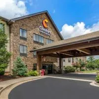 Comfort Inn & Suites Blue Ridge，位于蓝岭的酒店