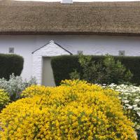 Connells House Thatched Cottage