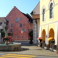 Gasthaus "Hotel Hirschen"，位于Beromünster的酒店