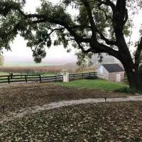 Cider House Bed and Breakfast，位于韦恩斯伯勒的酒店