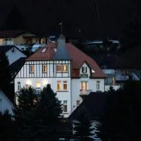 Villa Waldfrieden - Design trifft Budget，位于特里费尔斯山麓安韦勒的酒店