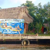 Palmento Grove Garifuna Eco-Cultural & Healing Institute，位于霍普金斯Dangriga Airport - DGA附近的酒店