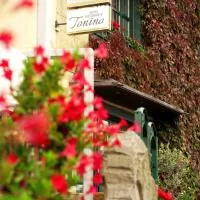 Hotel Restaurant Tonino,位于巴特本特海姆的酒店